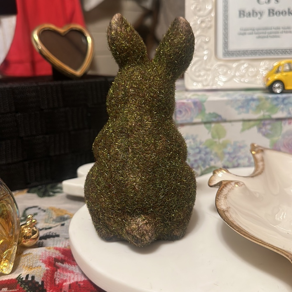 Miss Covered Bunny Rabbit - Picture 4 of 6